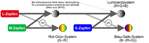 Verbesserte Version