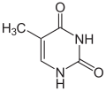 Thymin.svg