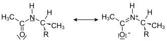 PeptidBindung.svg