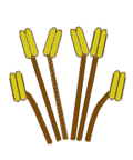 Tetradynamisch (tetradynamous)