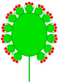 Doppelkörbchen