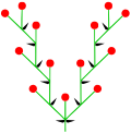 Doppelwickel