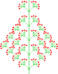 Heterokladische Thyrse