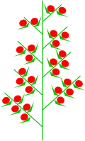 Doppelähre