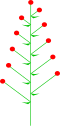 Disperse Verzweigung