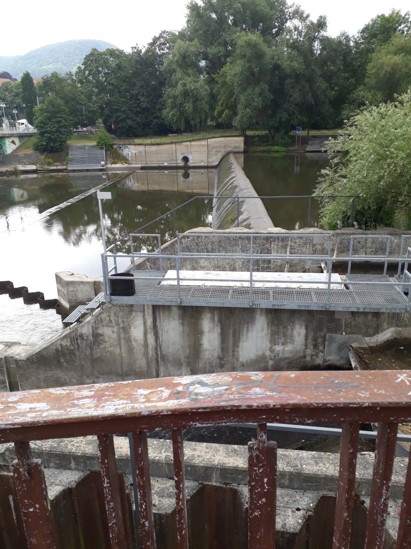 Niedrigwasser 2018