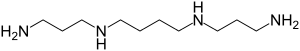 Struktur von Spermin