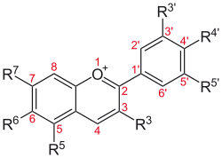 Anthocyanidine