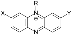 Allgemeine Grundstruktur der Phenazinfarbstoffe