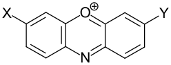 Allgemeine Grundstruktur der Phenoxazinfarbstoffe