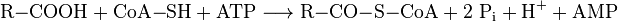 \mathrm{R{-}COOH + CoA{-}SH + ATP \longrightarrow R{-}CO{-}S{-}CoA + 2 \ P_i + H^+ + AMP}