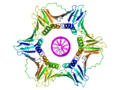 DNA-Klammer