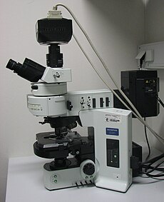 Ein aufrechtes Epifluoreszenzmikroskop. Das schwarze Gehäuse rechts enthält die Lichtquelle für die Fluoreszenz-Anregung. Im schwarzen Gehäuse oben auf dem Mikroskop 
				befindet sich eine CCD-Kamera.